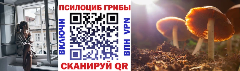 Галлюциногенные грибы MAGIC MUSHROOMS  МЕГА ТОР  Рославль  цены  