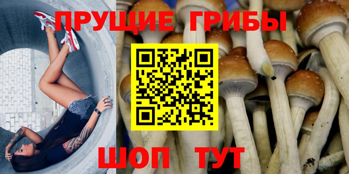 где купить наркоту  Псилоцибиновые грибы прущие грибы  Вход с VPN  Рославль 